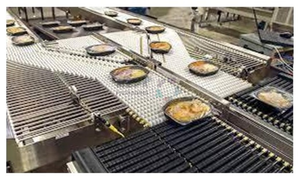 Food Conveyor System