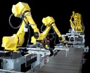 Robotic Palletizer & Depalletizer Cell